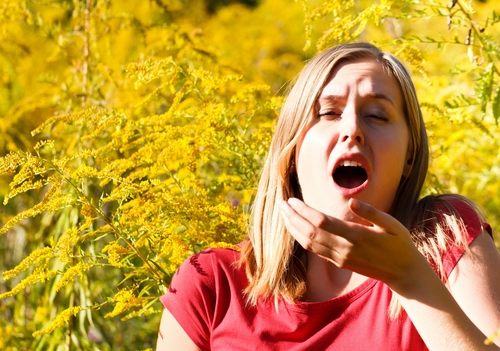 Ragweed Hay Fever