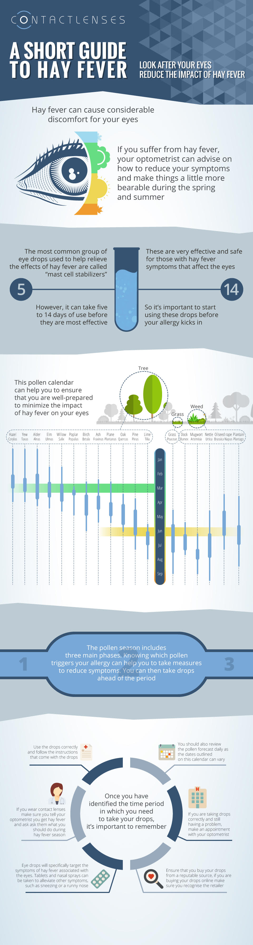 Hay Fever Infographic Eye Health Central