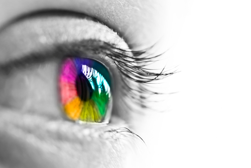 multi coloured iris