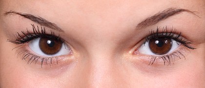 Brown healthy eyes