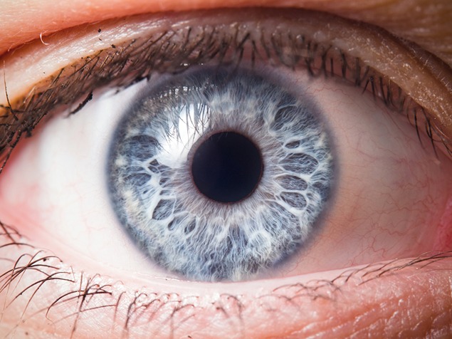 Eye, showing the sclera