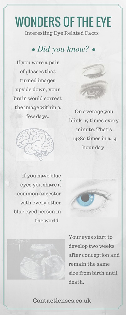 Wonders of the human eye